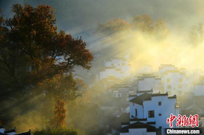 在江西婺源縣大鄣山鄉(xiāng)程村，粉墻黛瓦的徽派民居在晨霧中若隱若現(xiàn)，與古紅楓林交相輝映，美不勝收。(資料圖) 程新德 攝