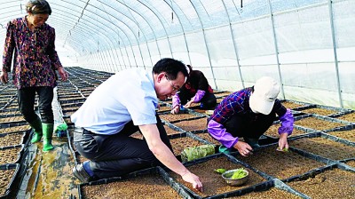 文化自信：激蕩百年征程，照亮復(fù)興之路