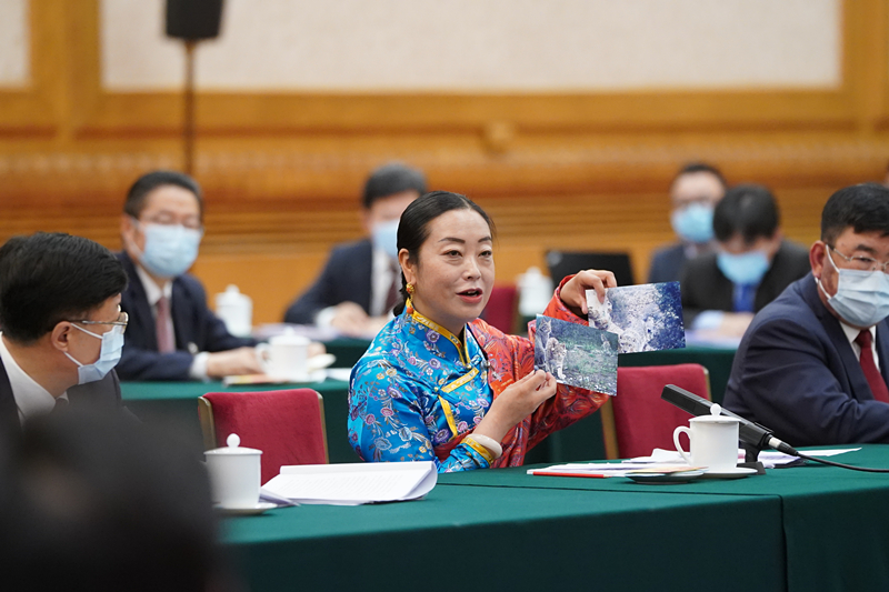 2021年3月7日，習(xí)近平總書記在參加十三屆全國(guó)人大四次會(huì)議青海代表團(tuán)審議時(shí)，全國(guó)人大代表孔慶菊在會(huì)上展示了兩張照片，上面分別是祁連山地區(qū)多年不見(jiàn)蹤跡的雪豹和荒漠貓。